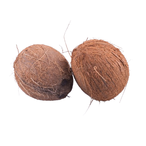 Coconut (Small)